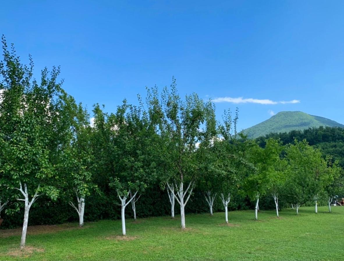 Crystal Racic Villa Bihać Dış mekan fotoğraf